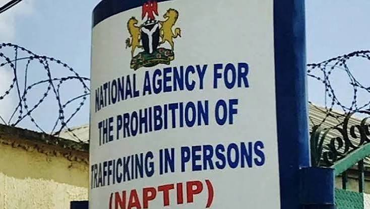 NAPTIP ta ce ta ceto yara sama da 180 da aka yi safararsu daga jihohin Kaduna, Anambra, Benue, Nasarawa da wasu wurare a ƙasar nan